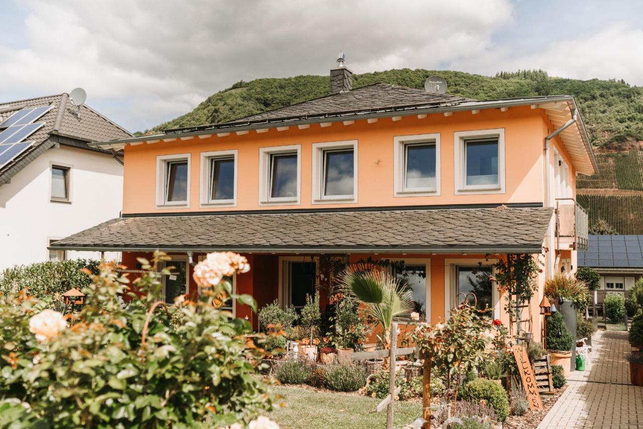 Wein- Und Gaestehaus Schwaab&Sohn Эрден Экстерьер фото
