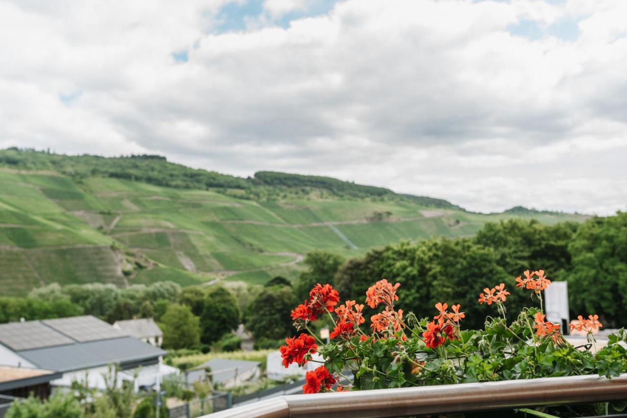 Wein- Und Gaestehaus Schwaab&Sohn Эрден Экстерьер фото