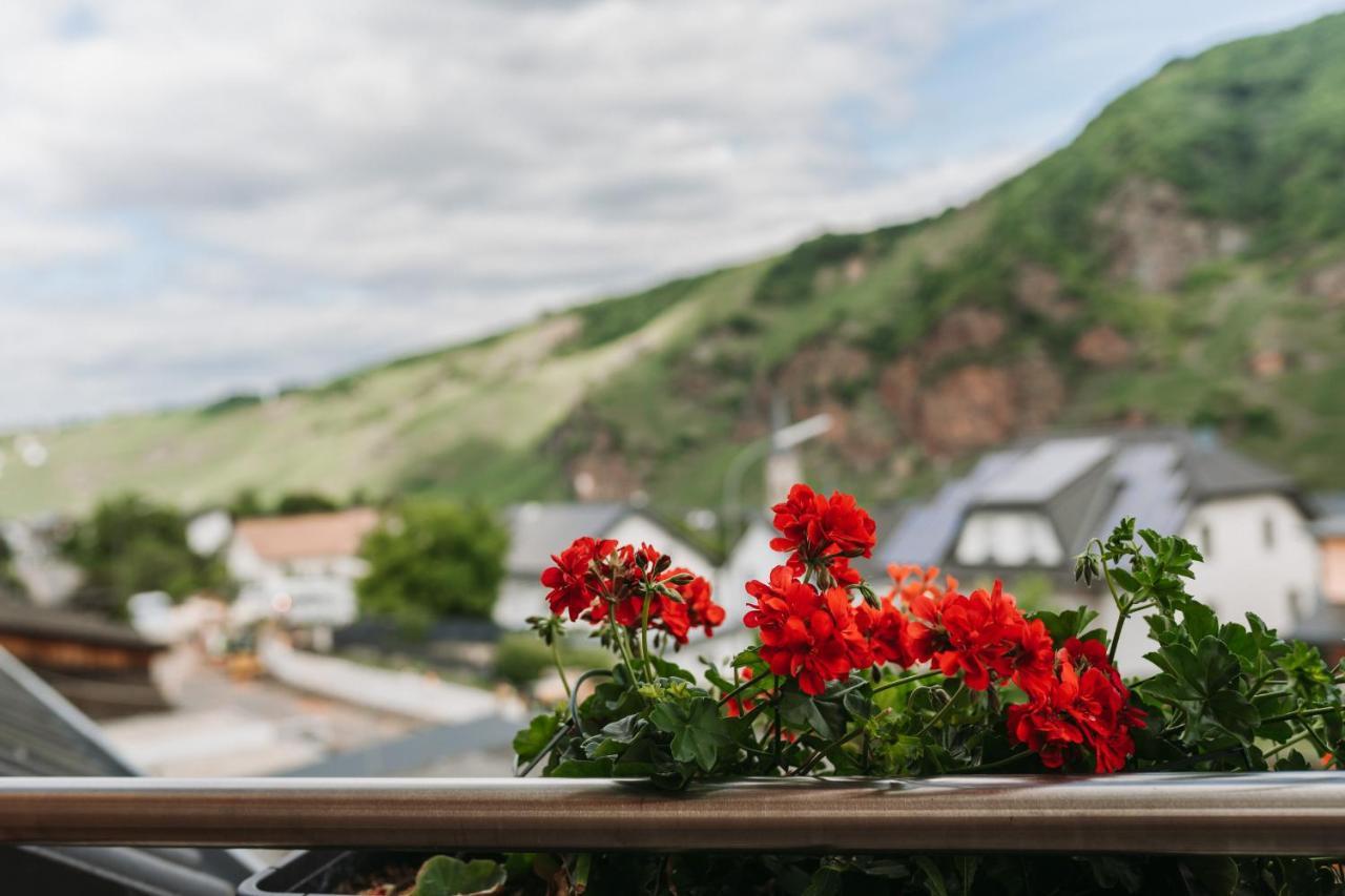 Wein- Und Gaestehaus Schwaab&Sohn Эрден Экстерьер фото